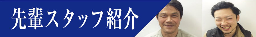 先輩スタッフ紹介